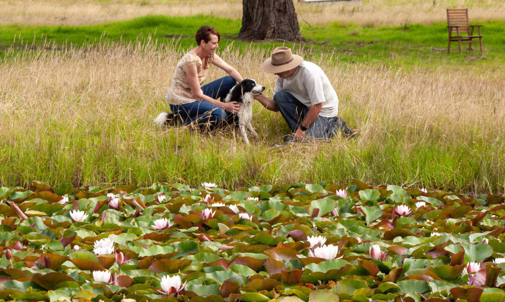 These photos capture the spirit of Yintarini Farm — where hands get dirty, hearts feel full, and ideas grow.
