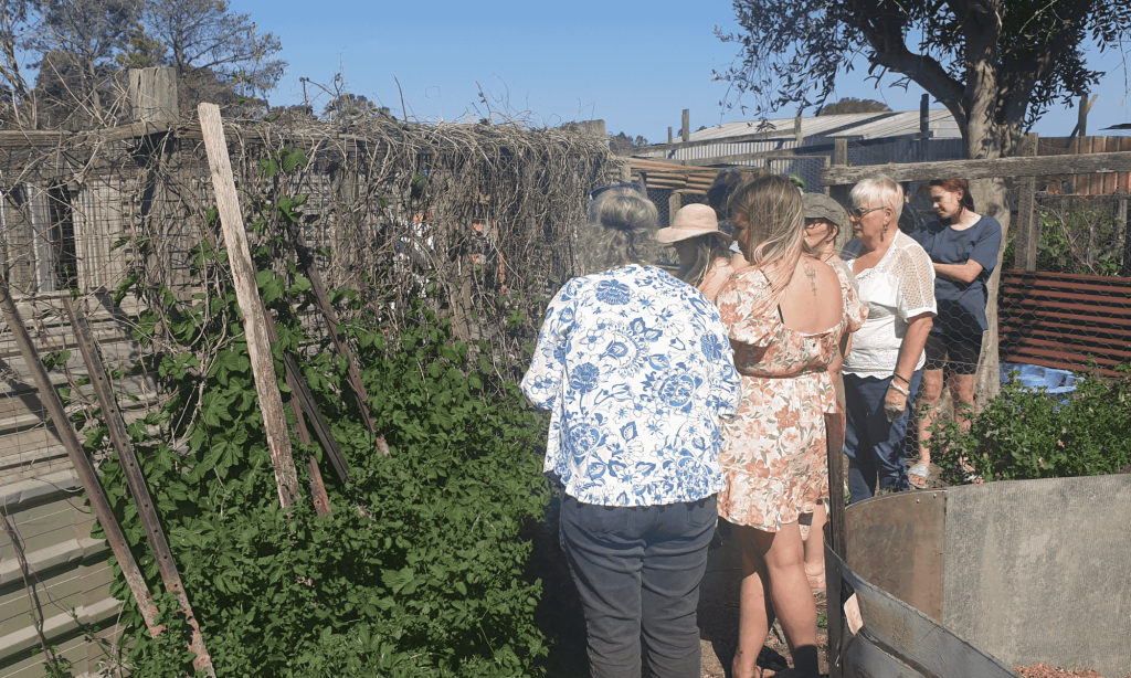 Group of people gathering edible weeds