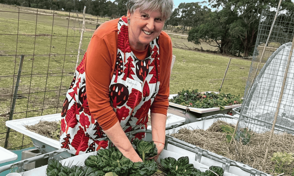 Woman harvesting leafy green vegetables