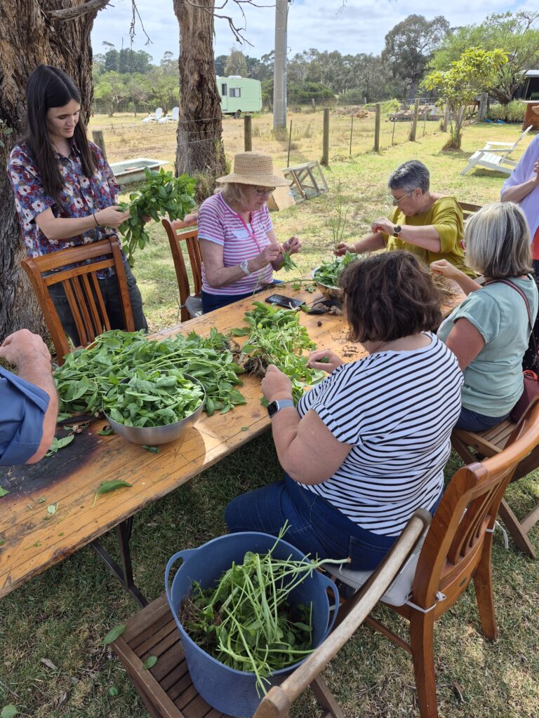 Pesto making